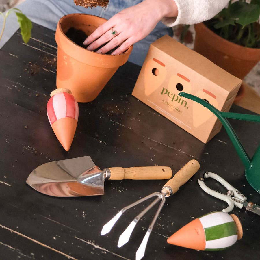 Box Trio Mini Ollas - the Striped